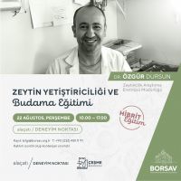 Zeytin Yetiştiriciliği ve Budama Eğitimi