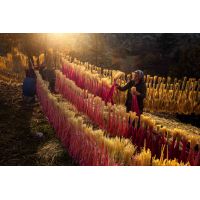 “Toprağın Kadın Yüzü” Instagram Fotoğraf Yarışması Sonuçlandı