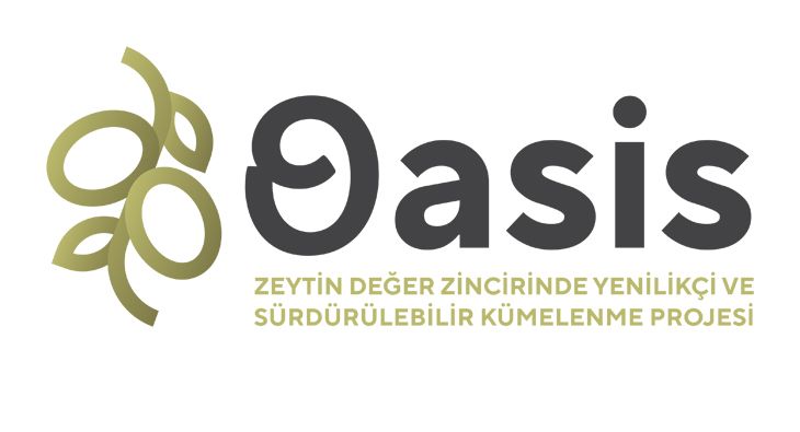 OASIS Projesi’nden Büyük Başarı